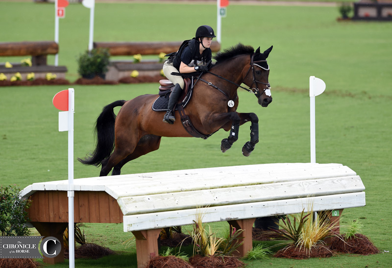 The Chronicle of the Horse