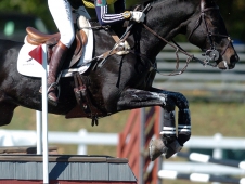Jennie Brannigan and Walkabout