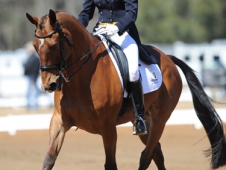 Mara Dean And Nicki Henley Lead The Red Hills CIC-W After Dressage