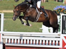 Ammeretto and David Beisel