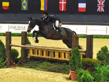 Lisa Williams and San Morino Win <a href="http://www.chronofhorse.com/article/san-morino-s-win-almost-wasn-t-alltech-national-horse-show">Older Amateur-Owners At The National</a>