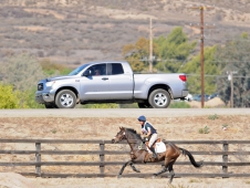 Racing A Truck
