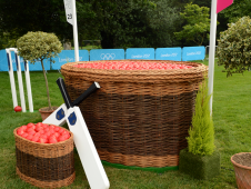 Fence 23: The Cricket Ball Basket