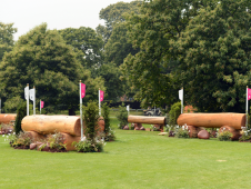 Fence 5ABC: The Chestnut Logs