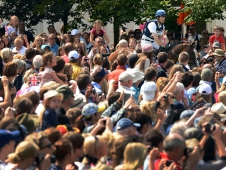 Where's Boydo?