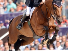 Scott Brash and Hello Sanctos
