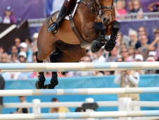 Peter Charles and Vindicat