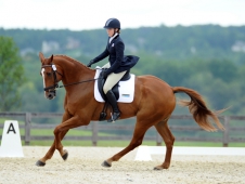 Victoria New and Fleeceworks Mystere du Val