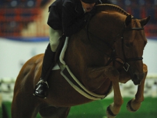 Sambalino and Peter Pletcher