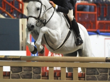 Cool Blue and Shawn Casady