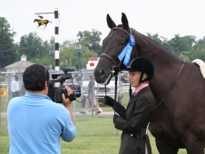 Totally Thoroughbred Horse Show Attracts Ex-Racers To Pimlico Race Course