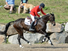Will Faudree and Andromaque