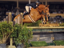 Way Cool and Tori Colvin topped the <a href="http://www.chronofhorse.com/article/way-cool-cleans-50000-wchr-palm-beach-hunter-spectacular">WCHR Hunter Spectacular of Palm Beach.</a>