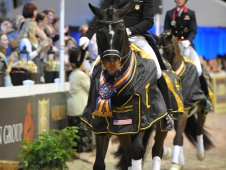 Steffen Peters Makes It Two In A Row At <a href="https://www.chronofhorse.com/article/peters-pushes-limits-win-world-dressage-masters">World Dressage Masters</a>