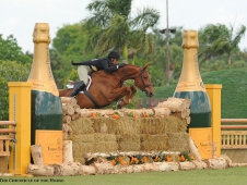 Miss Lucy tops the <a href="http://www.chronofhorse.com/article/miss-lucy-shines-derby-day">USHJA Hunter Derby at WEF.</a>