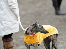 Raincoats For Everyone