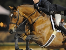 Ovation and Tori Colvin Won <a href=" http://www.chronofhorse.com/article/colvin-spectacular-again-palm-beach">The WCHR Spectacular</a>