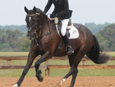 Candace Wheeler Bell and Fernhill Jet