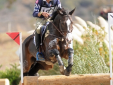Boyd Martin and Trading Aces