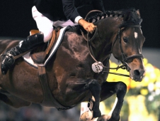 David Beisel on Ammeretto