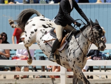 EZ To Spot and Catherine Wilson