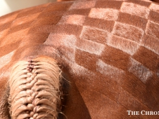 Nice quartermarks