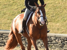 Sunset Hill and Heather Caristo-Williams