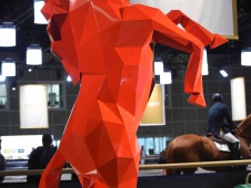 Nice horse