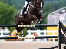 Pedro Veniss and Quabri de L Isle