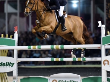 McLain Ward and Rothchild