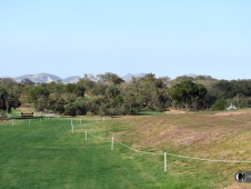 A view of the cross-country course