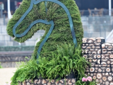 Just a bit of the cross-country course