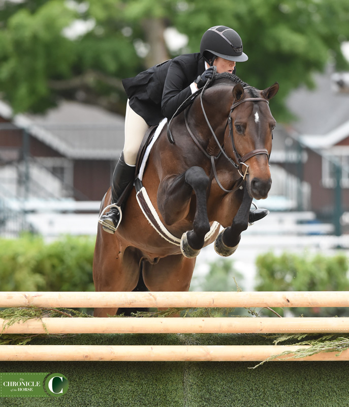 Taking A Moment: Favorite Photos From The 2017 Devon Horse Show - The ...