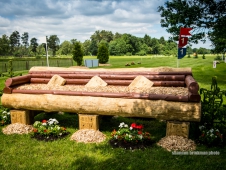 fence1Luh17brinkman6-14-7663