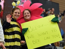 18NHSbeesNHS_8051