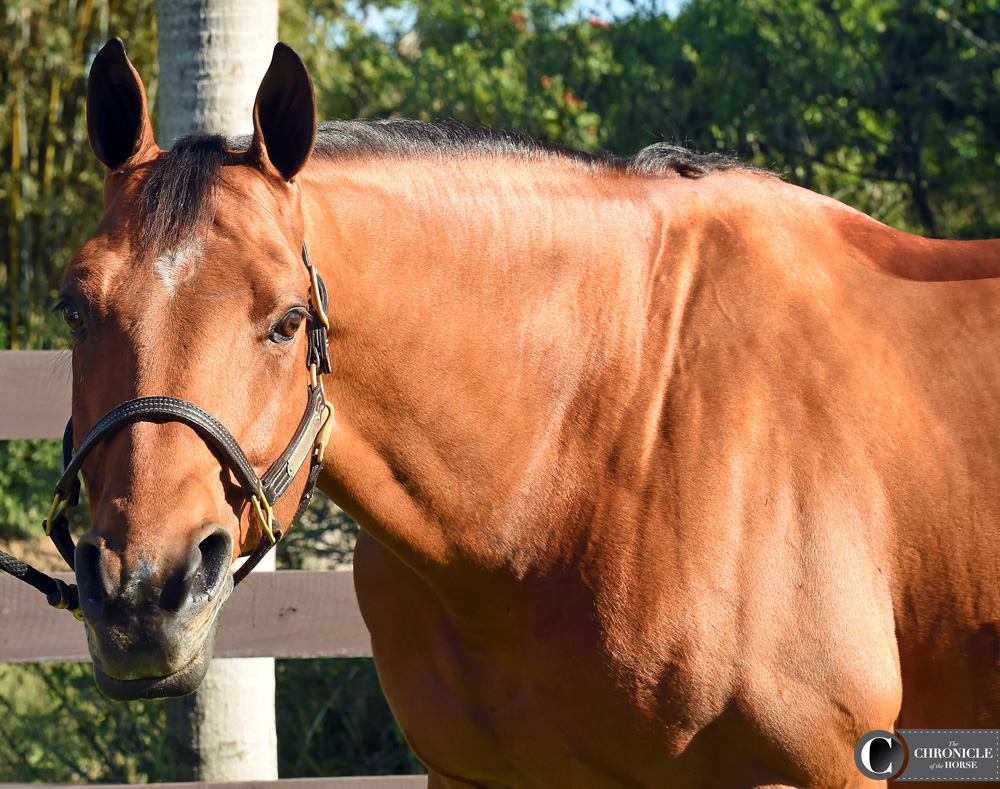 He’s not shy! Photo by Ann Glavan