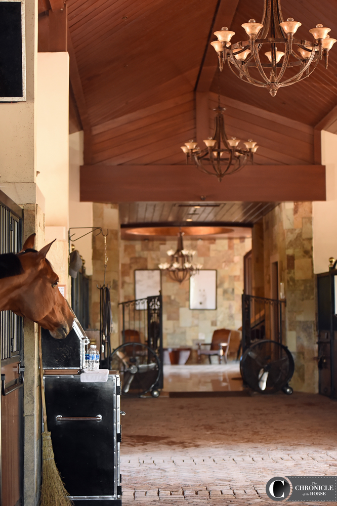 Robin’s home at E2 Showjumping in Wellington, Fla. Photo by Ann Glavan