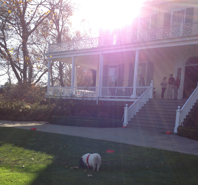 WEB Gracie Mansion IMG_6250