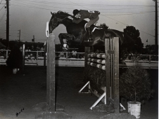 Idle Dice and Rodney Jenkins