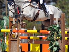 Cooper Made Show Jumping Look Easy