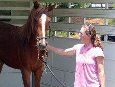 First Touch Before The <a href="http://www.chronofhorse.com/article/wallace-wins-extreme-mustang-makeover-and-friend-life">Extreme Mustang Makeover</a>