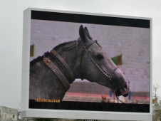 Horse Monitor