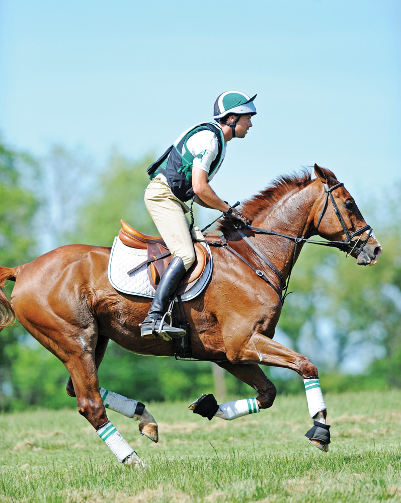 gallop-campestre-al-gov-br