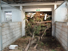 Debris Fills A Barn Aisle