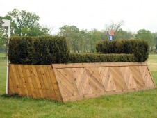 Fence 10: The U.S. Equestrian Federation Double Brush Table