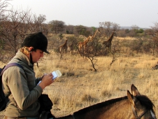 <a href="http://www.chronofhorse.com/article/seeing-and-saving-south-africa-horseback">Giraffe Spotting In Africa</a>