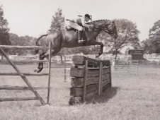<a href="http://www.chronofhorse.com/article/chronicle-through-decades-1960s">A Green Working Hunter Of The '60s</a>