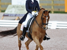 Ashley Holzer And Pop Art Sweep The <a href="https://www.chronofhorse.com/article/pop-art-prevails-wellington-dressage-cdi-w-grand-prix">Wellington Dressage CDI-W Grand Prix</a>