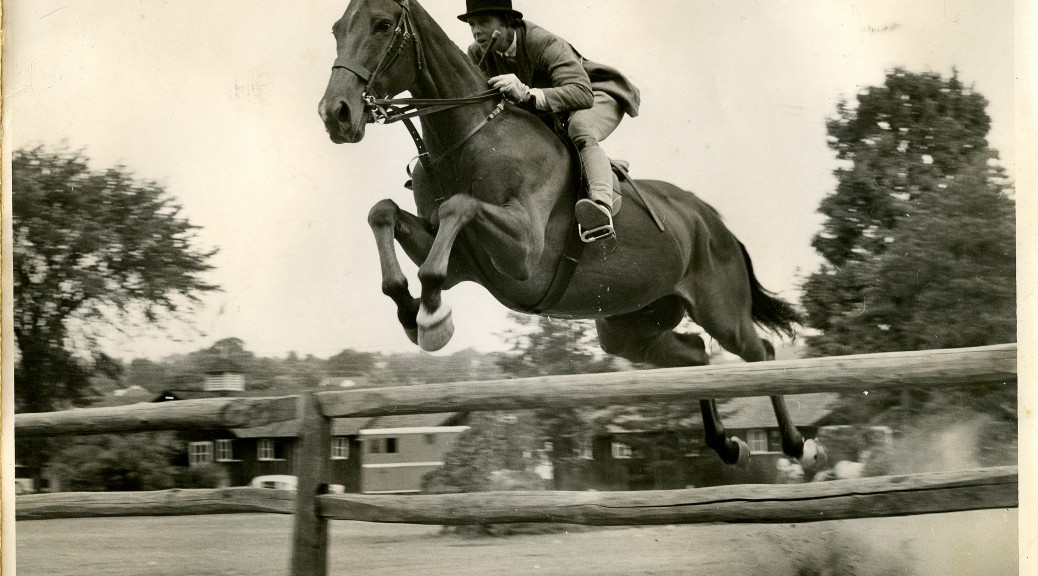 The Chronicle of the Horse