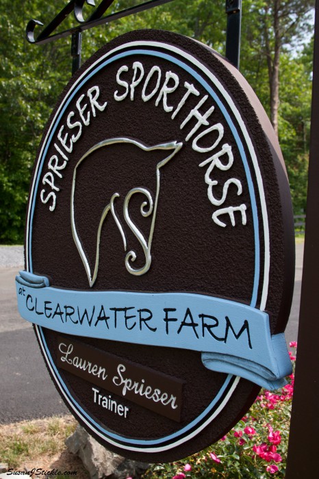 Sprieser-Sporthorse_6.jpg